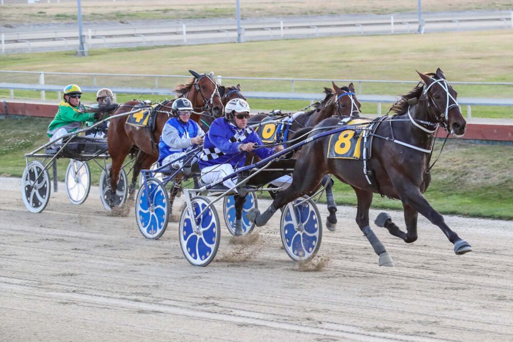 Race Meeting 13 Apr Addington Raceway & Events Centre