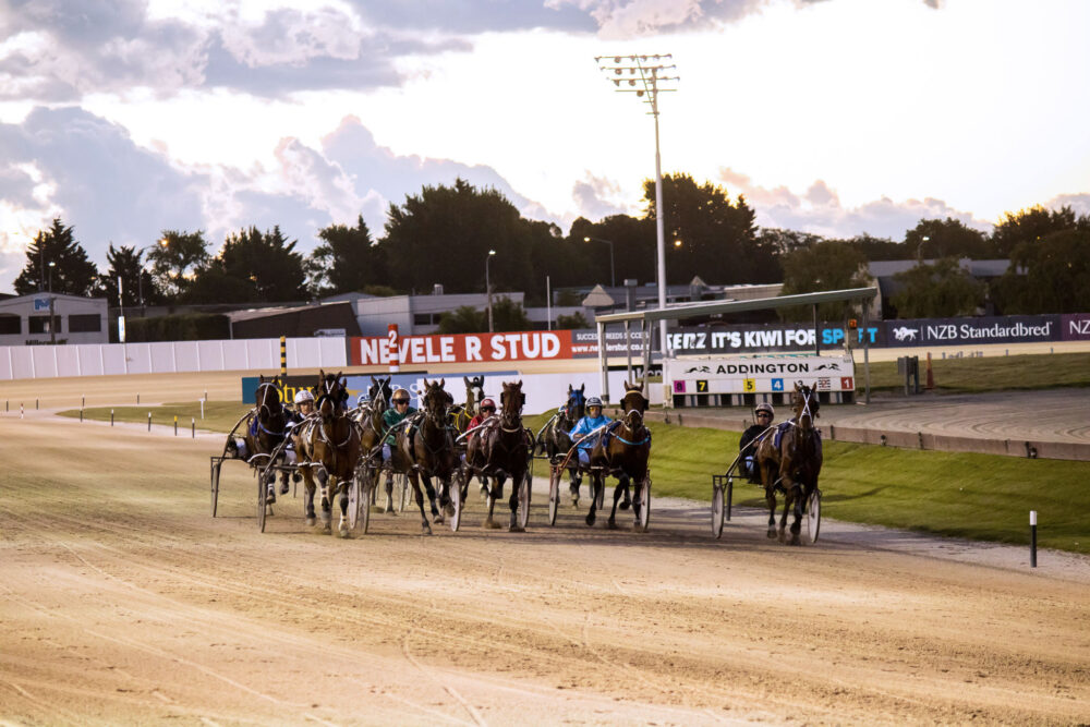 Race Meeting Thursday 5 October Addington Raceway & Events Centre