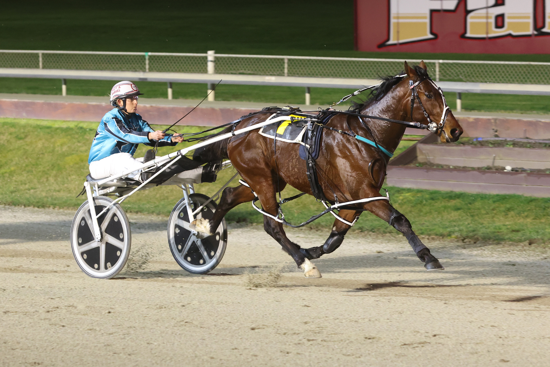 Racing Preview - Friday 15 May | Addington Raceway & Events Centre