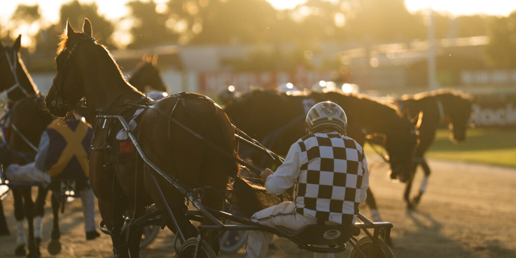 Friday Night Lights | Addington Raceway & Events Centre