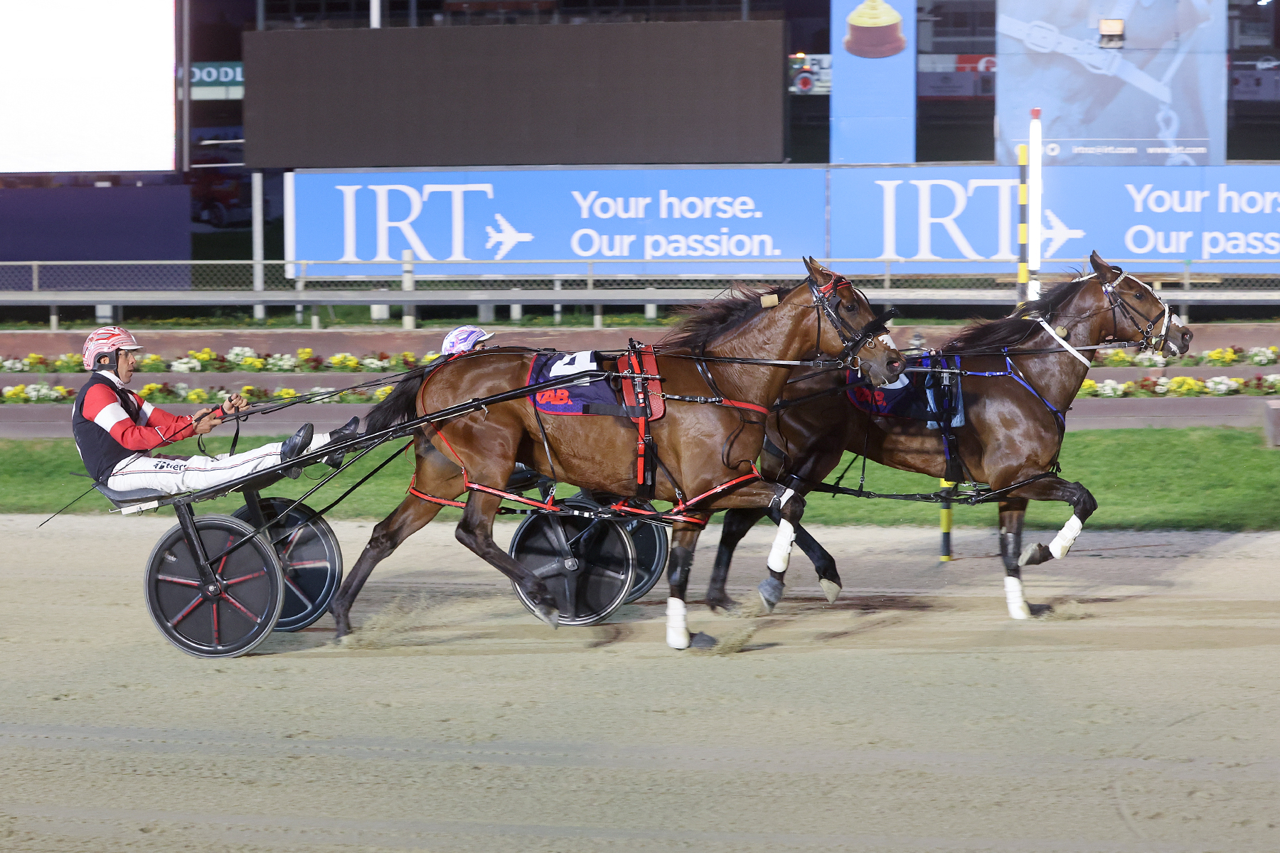 Racing Preview - Friday 24 April | Addington Raceway & Events Centre