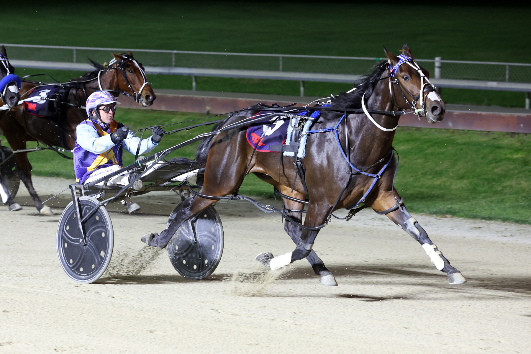 Racing Preview - Friday 8 May | Addington Raceway & Events Centre