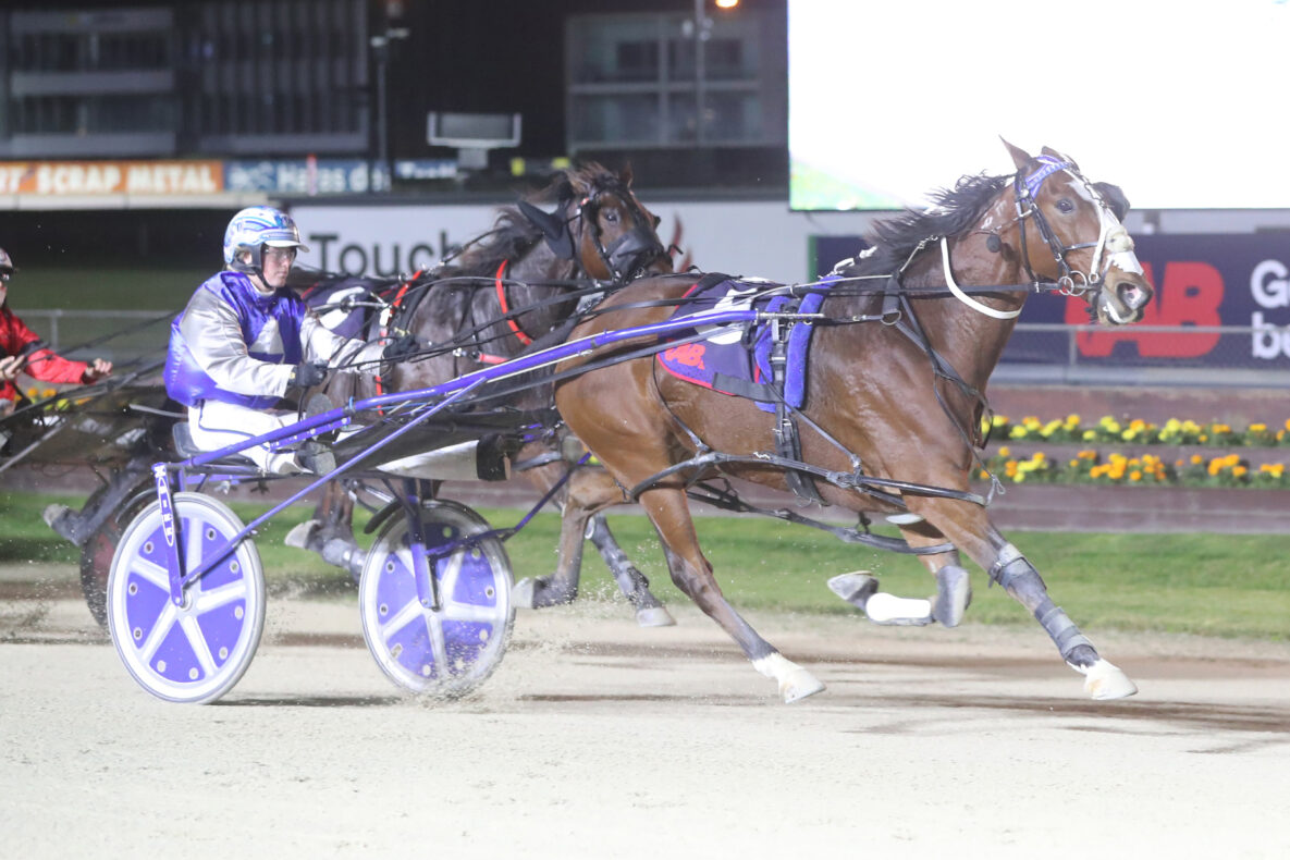 Racing Preview - Friday 19 June | Addington Raceway & Events Centre