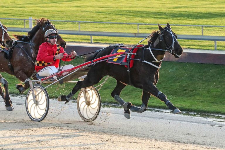 Race Meeting Thursday 22 September Addington Raceway & Events Centre